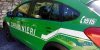 Oltre 900 denunce e sanzioni per 1,2 milioni di euro dei carabinieri forestali Abruzzo Molise nel 2025