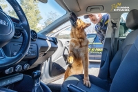 In viaggio con la cocaina, uomo di 65 anni fermato e arrestato al casello dell'autostrada