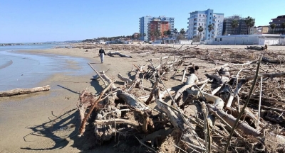 Il Sib Abruzzo accoglie con favore il prelievo manuale del materiale legnoso naturale spiaggiato a Montesilvano