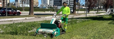 Dopo le potature di 600 alberi scatta la seconda fase della manutenzione del verde a Montesilvano