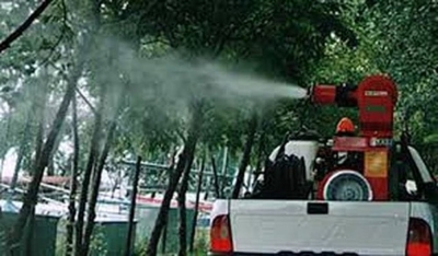 Previsto un intervento di disinfestazione contro la processionaria a Montesilvano