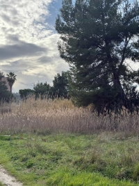 L'appello della consigliera Artese: "Il parco nord va salvato e tutelato"