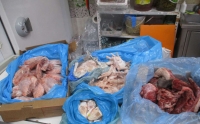 Carne in cattivo stato di conservazione, scatta il sequestro in alcuni negozi etnici del centro [FOTO]