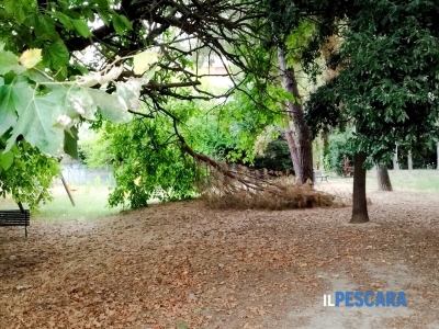 A Montesilvano divieto di accesso alla pineta, ai parchi e al cimitero per il maltempo