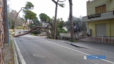 Peggiora la frana a Silvi, crollati una casa e alcuni alberi lungo strada provinciale 29 che sta sprofondando [FOTO]