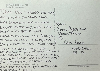 Coming home: la mostra del pescarese Sirius Alexander Venus Rose a Montesilvano