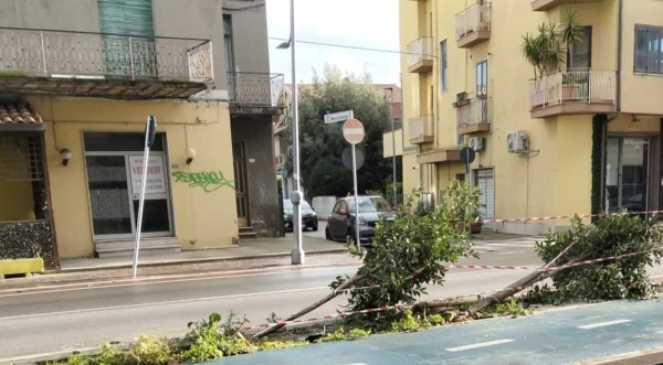 Confesercenti al sindaco De Martinis su corso Umberto I: &quot;Facile attaccare ma è grave non aver fatto ciò che aveva promesso&quot; [FOTO]