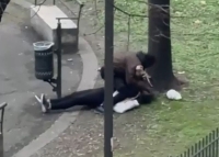 Pettinari sulla lite tra ubriachi in piazza Santa Caterina: "Scene si ripetono quasi quotidianamente, intervenga il prefetto"