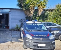 Scoperta un'autofficina abusiva, titolare denunciato dai forestali
