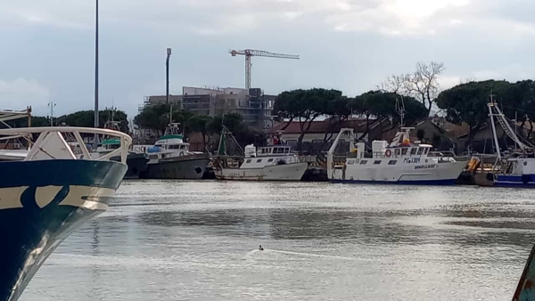 Il gruppo Pettinari: "Porto canale bloccato da un mese, serve un intervento immediato"