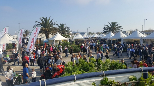Torna la mostra del fiore Florviva: il porto turistico si trasforma in un grande giardino
