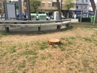 Artese (Gruppo misto): "Stop al taglio degli alberi e al consumo di suolo. A Pescara serve un vero ambientalismo"