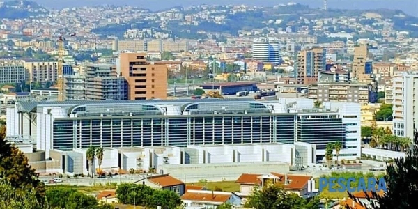 Cane lasciato morire legato a una catena a Spoltore, Lndc Animal Protection in tribunale per la prima udienza