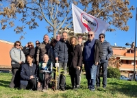 Il M5s pianta tre nuovi alberi per il futuro a San Silvestro Spiaggia