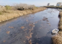 La denuncia del Movimento Pettinari per l'Abruzzo: "Acque nere e maleodranti alla foce del Saline" [FOTO]
