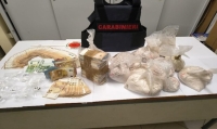 Sequestrati a San Severo 9 chili di droga destinati al mercato di Montesilvano: 41enne arrestata dai carabinieri