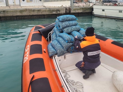 Natale sicuro, la guardia costiera sequestra 130 tonnellate di pesce in tutto il Paese: controlli e sanzioni anche a Pescara