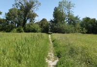 Sul Parco Nord è scontro: allarme predissesto dai banchi di opposizione per un debito da 8 milioni, ma il centrodestra non ci sta