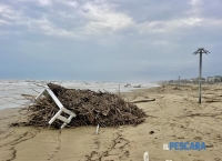 La spiaggia invasa da tronchi e detriti, lo scenario all’indomani dell’emergenza maltempo [FOTO]
