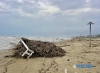 La spiaggia invasa da tronchi e detriti, lo scenario all’indomani dell’emergenza maltempo [FOTO]
