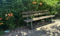 Blasioli (Pd): &quot;Strada parco da un mese senza cestini e senza pulizia, così la Tua gestisce il decoro urbano?&quot;  [FOTO]